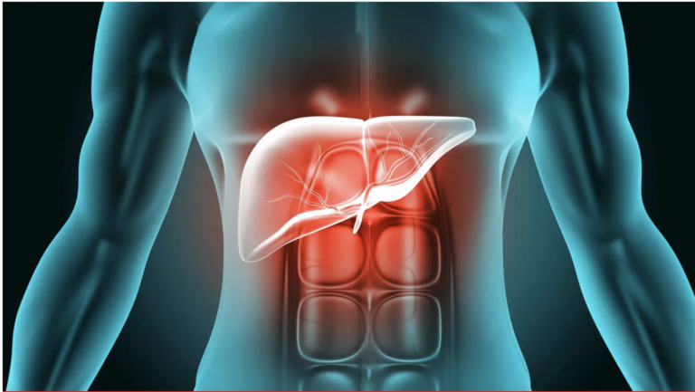 Crean un páncreas artificial «vivo» con el que se podría prescindir de las inyecciones de insulina