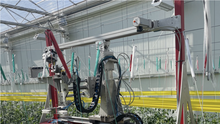 TheJC | El robot Louie evita el sudor en el cultivo de tomate