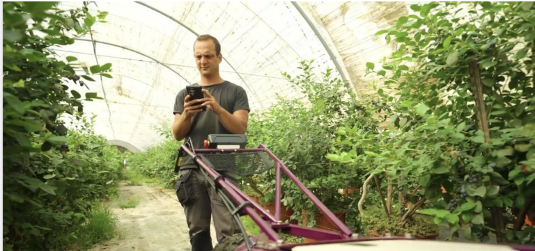 Galilea: Polinización asistida por IA para asegurar la próxima cosecha